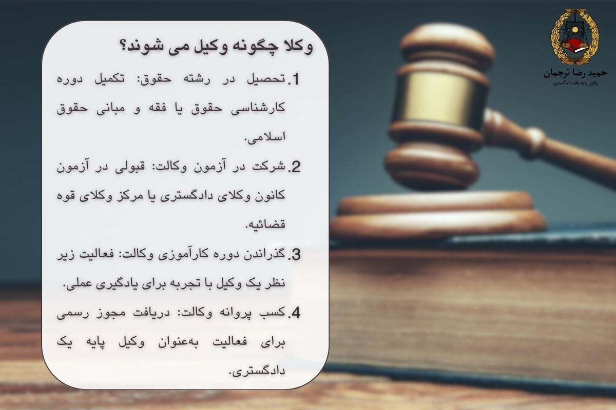 وکلا چگونه وکیل می شوند
