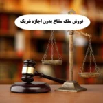 فروش ملک مشاع بدون اجازه شریک|مراحل شکایت+مجازات در 1404